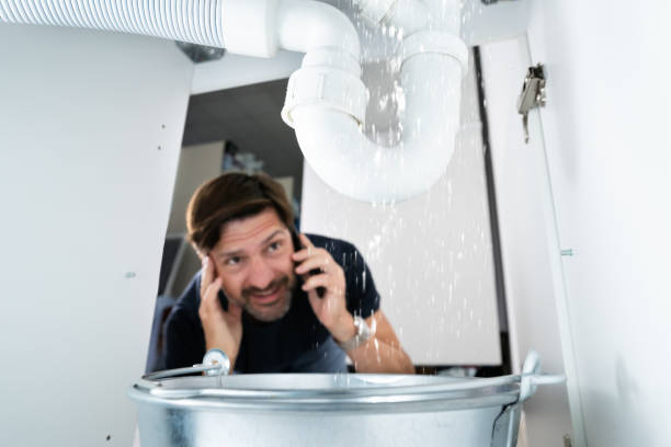 Best Sprinkler Systems  in Frederick, MD